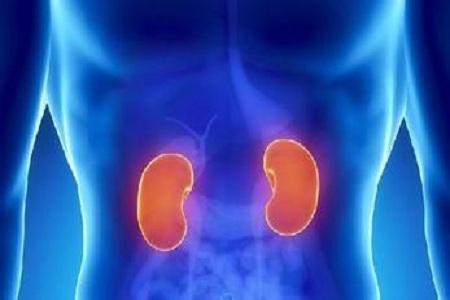 中醫養胃好療效傳你護腎大法