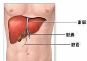 飲食調和五臟 穩定荷爾蒙