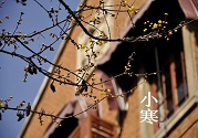小寒節氣養生注重益氣補虛,滋養臟腑