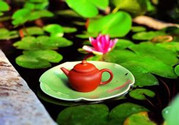 夏天常喝荷葉茶不節食也能輕松瘦