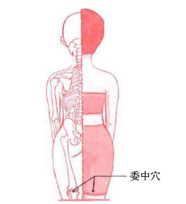 腿部點(diǎn)按法輕松做到完美瘦腿
