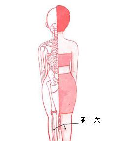 腿部點(diǎn)按法輕松做到完美瘦腿