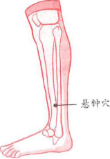 腿部點(diǎn)按法輕松做到完美瘦腿