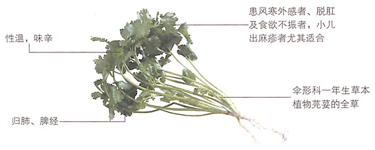 香菜怎么吃功效最好?醒脾壯陽