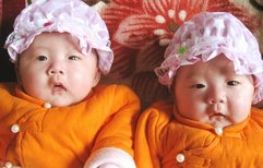 1452072296854755.png Image 001.png