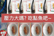 壓力大嗎?營養好推薦吃點魚吧