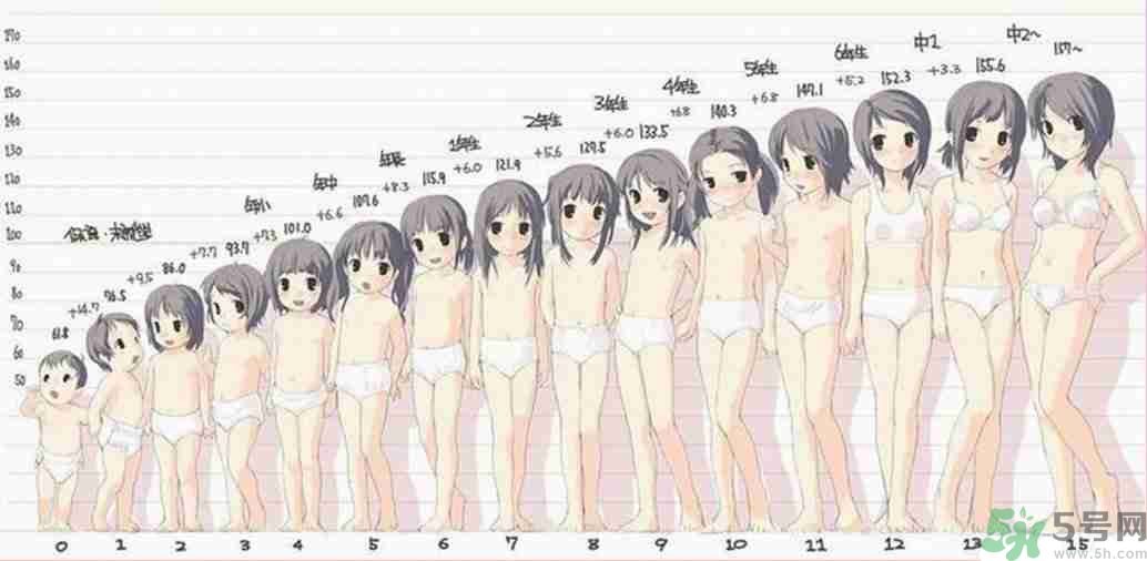 女生的發育過程是什么樣的?