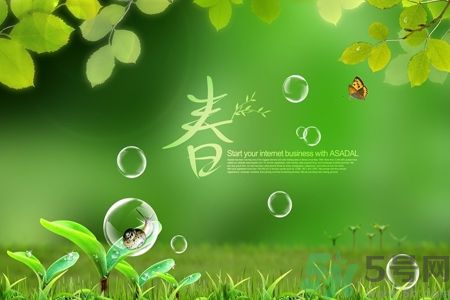 春天喝什么茶好?春天喝什么茶養生?