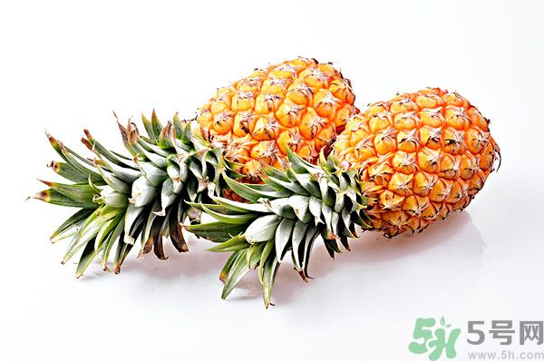 芒果和菠蘿能一起吃嗎？芒果和菠蘿一起吃好嗎？