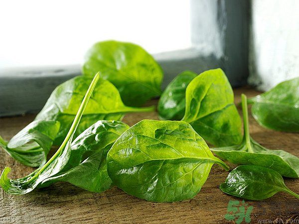 缺鐵有什么癥狀和危害？含鐵高的食物有哪些？