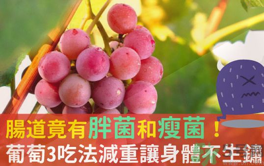 吃葡萄可以不吐葡萄籽嗎？吃葡萄皮好不好？
