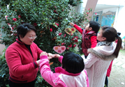 植樹節是幾月幾日？植樹節可以做些什么活動？