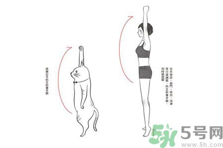電腦族肩膀痛疼怎么辦？肩膀痛疼怎么解決？
