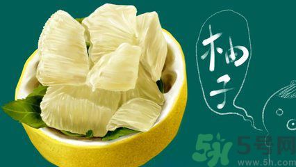 多吃柚子能減肥嗎？怎樣吃柚子才健康？