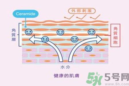 皮膚炎癢是怎么回事?皮膚炎發作怎么治療? 皮膚炎癢是怎么回事?皮膚炎發作怎么治療?