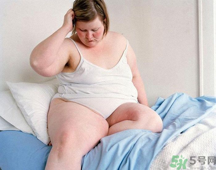 吃什么會發胖？吃什么會減肥？