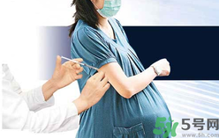 打黃熱病疫苗對懷孕有影響嗎?