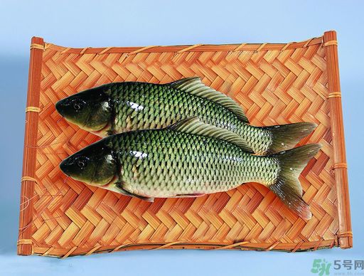 孕婦吃什么魚對胎兒好？孕婦吃什么魚最好？