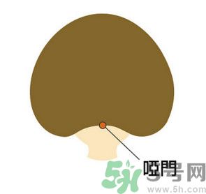 臉總是腫腫的怎么辦？臉有點浮腫怎么消腫？