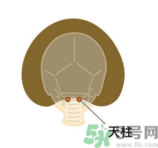 臉總是腫腫的怎么辦？臉有點浮腫怎么消腫？