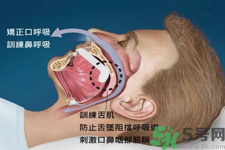 耳鳴是什么原因引起的？耳鳴怎么治療最好？