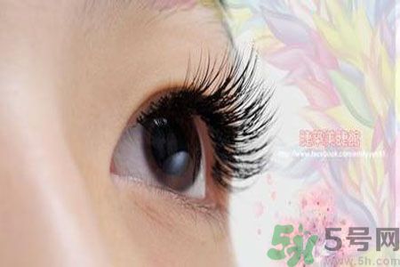 種睫毛的危害有哪些？種睫毛能保持多久？