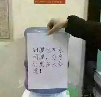 a4腰也叫水桶腰是什么意思？a4腰也叫水桶腰圖片？ 