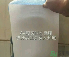 a4腰為什么也叫水桶腰?a4腰和水桶腰有什么區別?.png a4腰為什么也叫水桶腰?a4腰和水桶腰有什么區別?.png