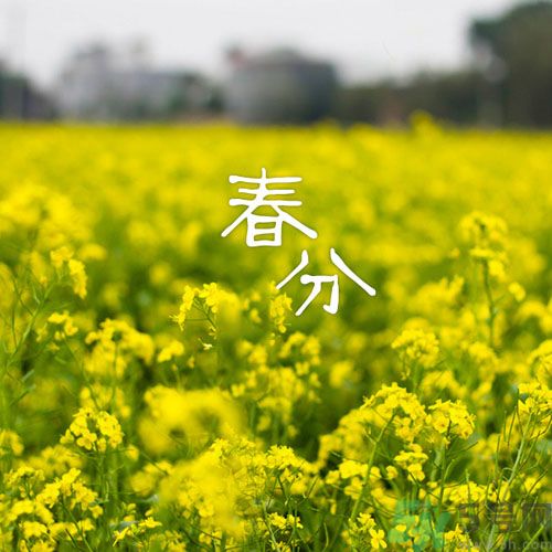 春分時養生要注意什么？春分要預防哪些疾病？