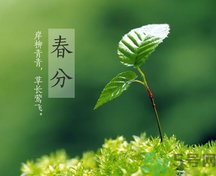 春分時養生要注意什么？春分要預防哪些疾病？