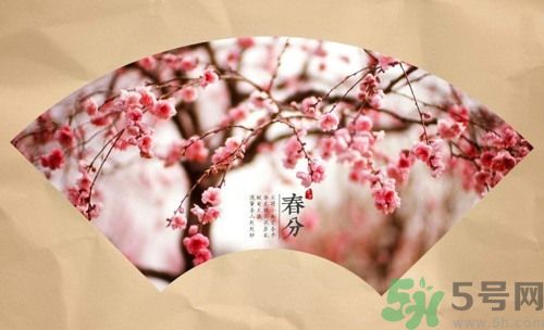 春分時養生要注意什么？春分要預防哪些疾病？