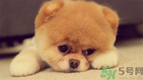 睡覺能戴手表嗎？睡覺不能帶的東西有哪些？