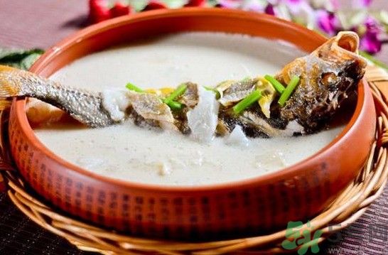 煲魚湯怎么去腥？家常魚湯做法有哪些？