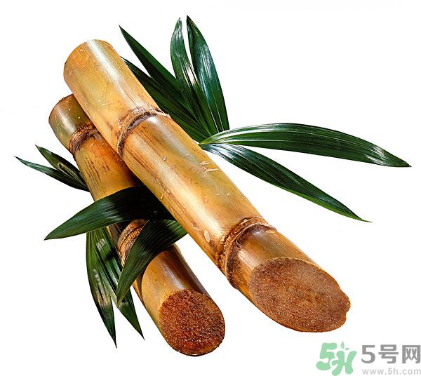 清明節能吃甘蔗嗎？清明節吃甘蔗會中毒嗎？