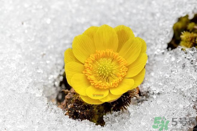 清明節有哪些習俗？清明節習俗的來源？