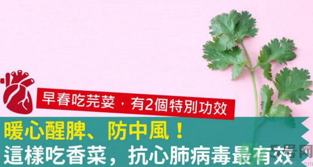 春天吃香菜好嗎？春天吃香菜有什么好處？
