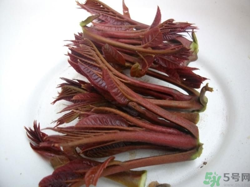 香椿好吃嗎？香椿可以做菜嗎？