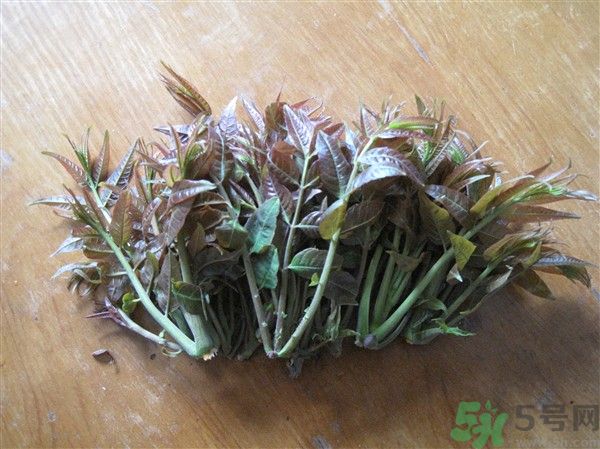 香椿怎么吃才安全？吃香椿的最佳時間是什么時候？