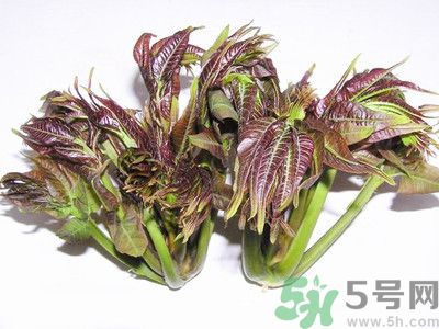 吃香椿有什么好處？香椿可以預防疾病嗎？