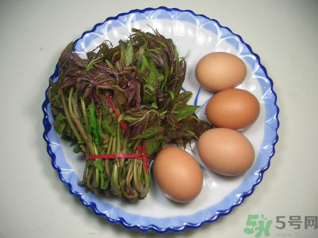 怎么挑選香椿呢？挑選香椿的小竅門？