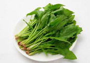 韭菜和菠菜能一起吃嗎?一起吃有什么營養價值