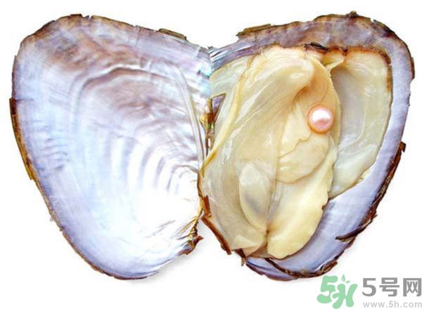 河蚌什么時候吃最好？吃河蚌有什么好處？