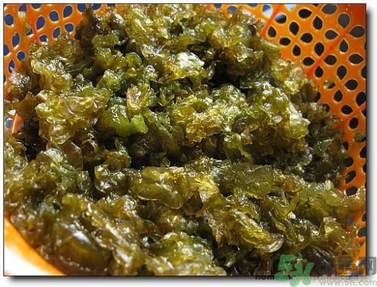 地皮菜怎么清洗干凈？怎樣洗地皮菜？