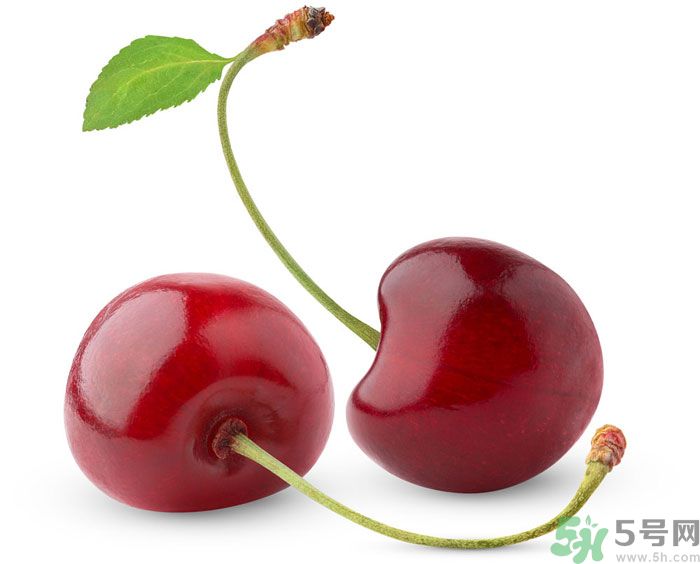 吃什么水果可以補血？補血的水果有哪些？