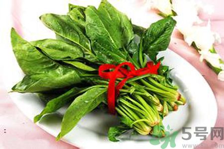 補(bǔ)血吃什么好？補(bǔ)血的食物有哪些？