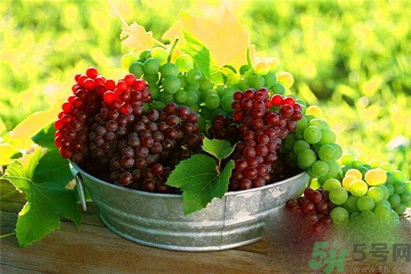 高血脂吃什么水果好？什么水果可以降血脂？