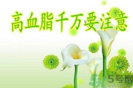 高血脂會頭暈嗎？高血脂會引起高血壓嗎？