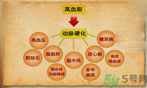 高血脂會頭暈嗎？高血脂會引起高血壓嗎？