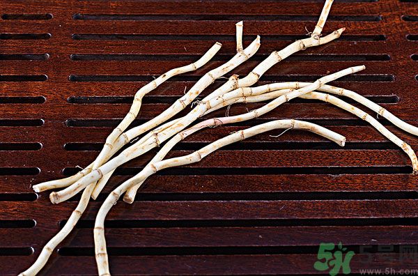 魚腥草能泡水喝嗎？魚腥草泡水喝有什么功效？
