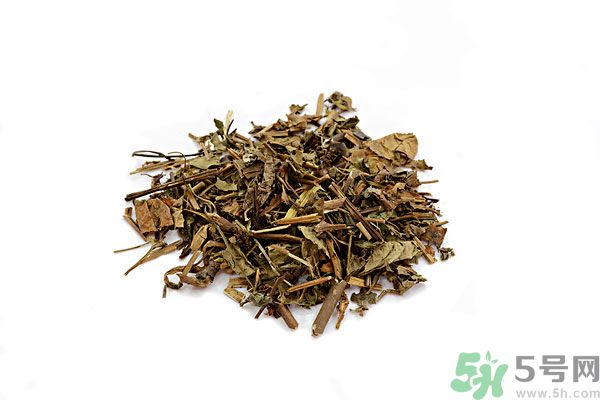 魚腥草能泡水喝嗎？魚腥草泡水喝有什么功效？
